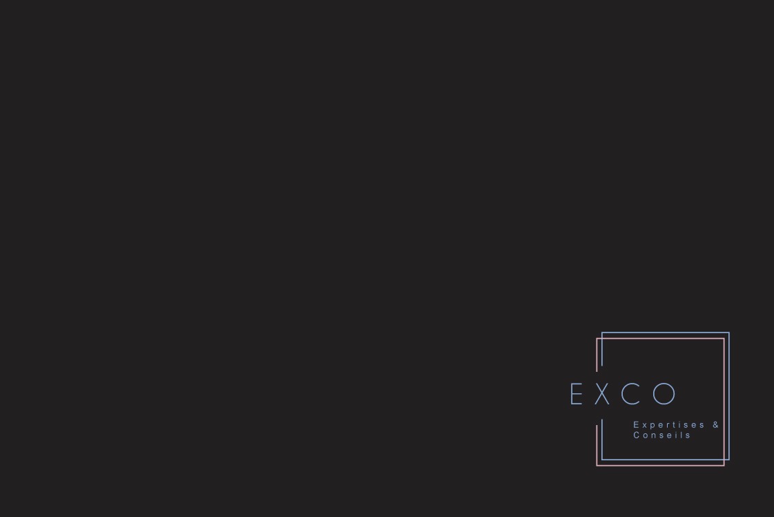 bexio_solution_exco_compatible